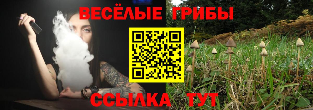 Галлюциногенные грибы GOLDEN TEACHER Спасск-Дальний